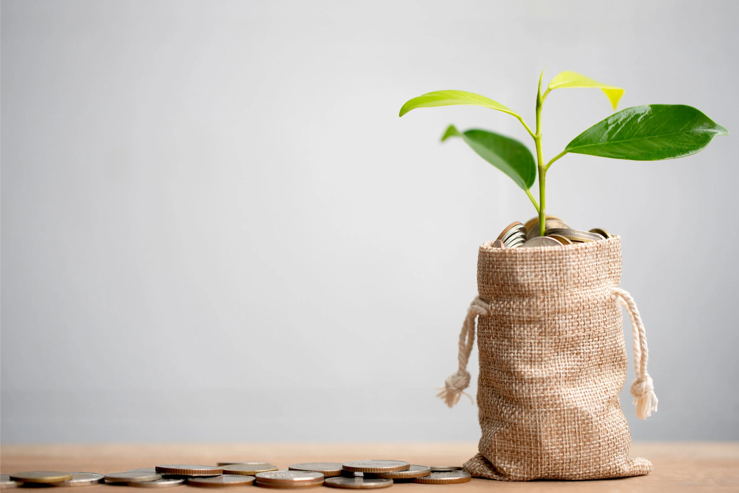 Independent Financial Advice — photograph related to this specialism (1)